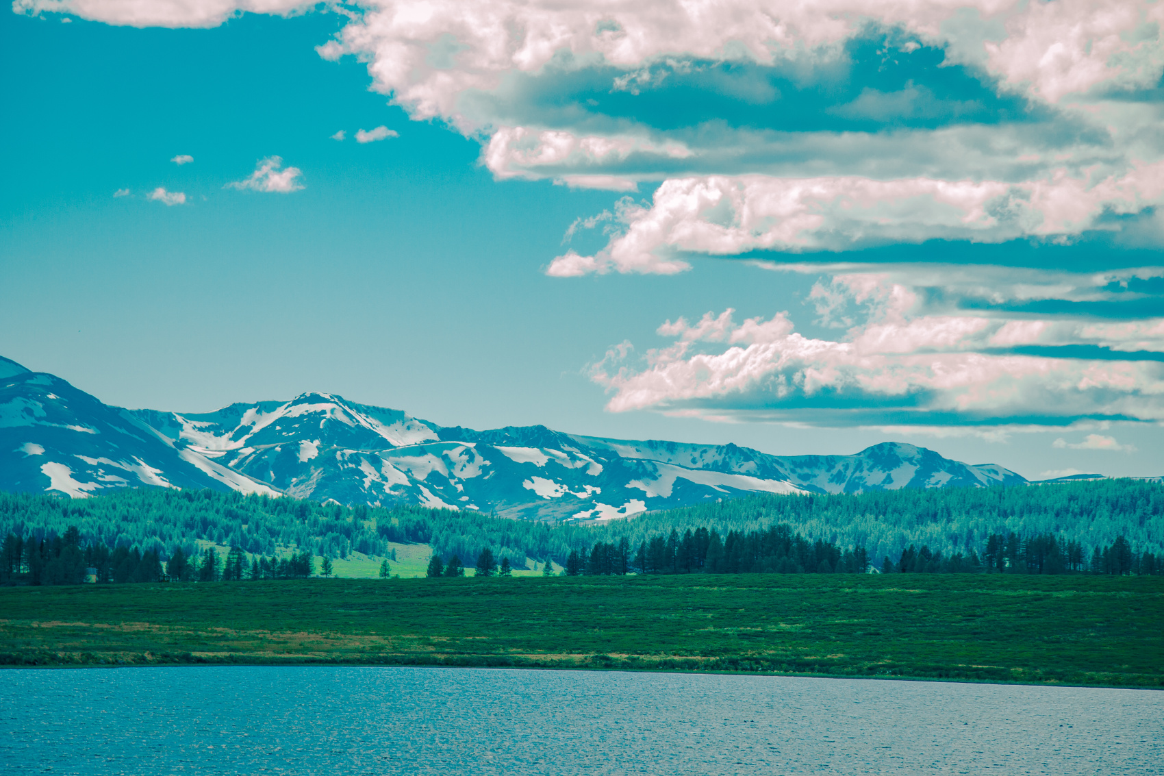 Кругосветка По Алтаю - 10 дней! 2026 Шаман-Кайчи, Телецкое, Чемал, травница! (28/94)