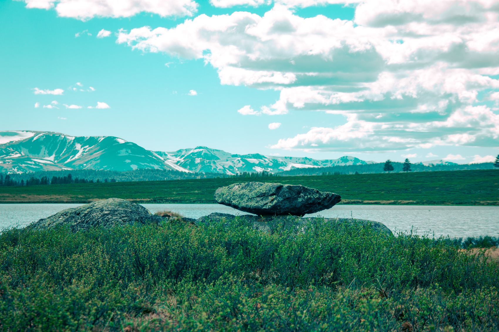 Кругосветка По Алтаю - 10 дней! 2026 Шаман-Кайчи, Телецкое, Чемал, травница! (25/94)