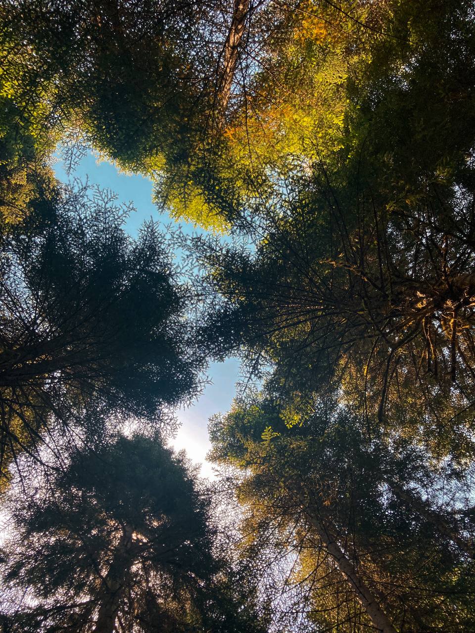 Неизведанная Грузия - Рача/Лечхуми (5/11)