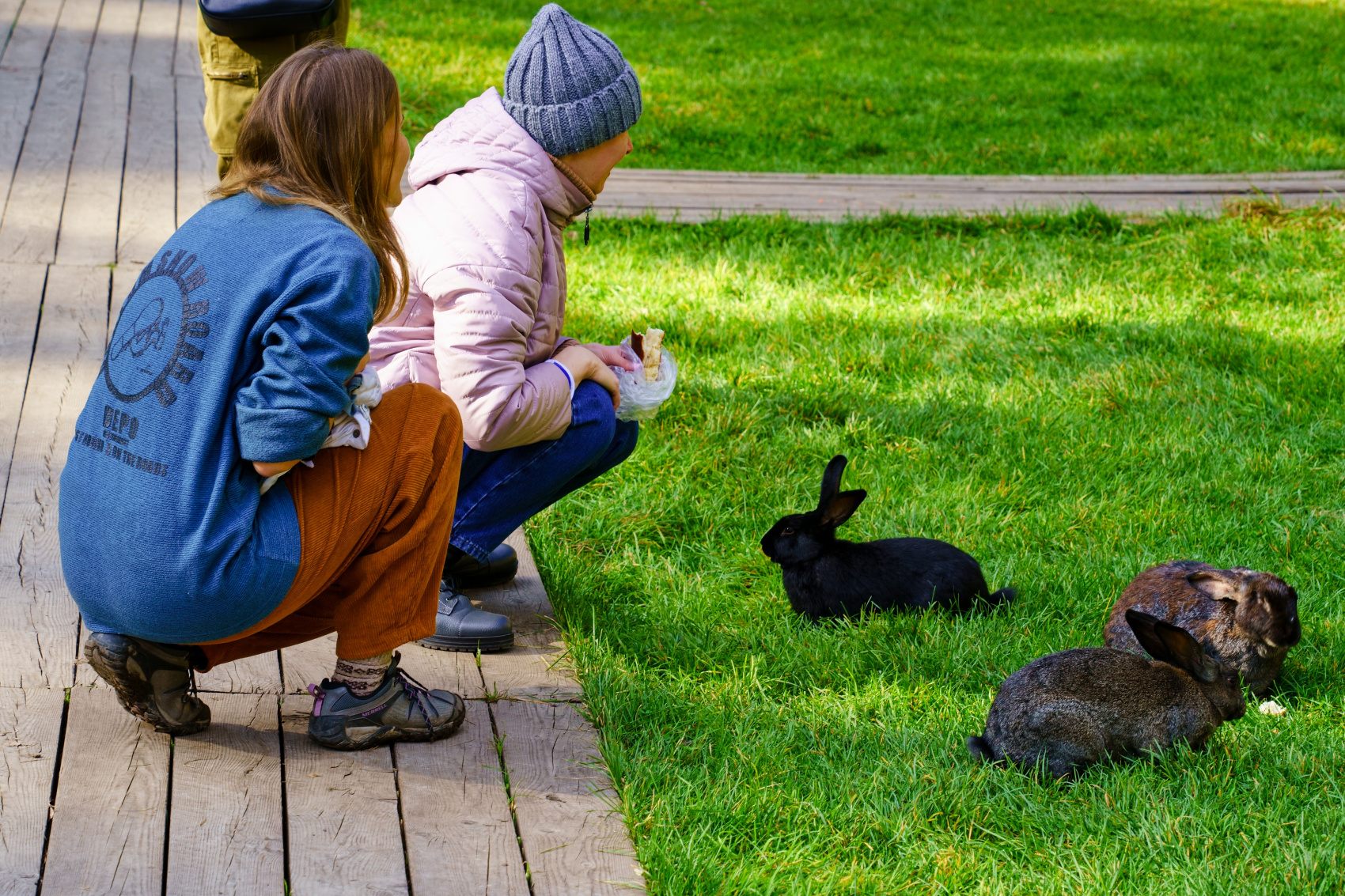 Осенний премиум-тур на Алтай: отели 4-5 + экскурсии по горному Алтаю (индивидуально) (2/36)