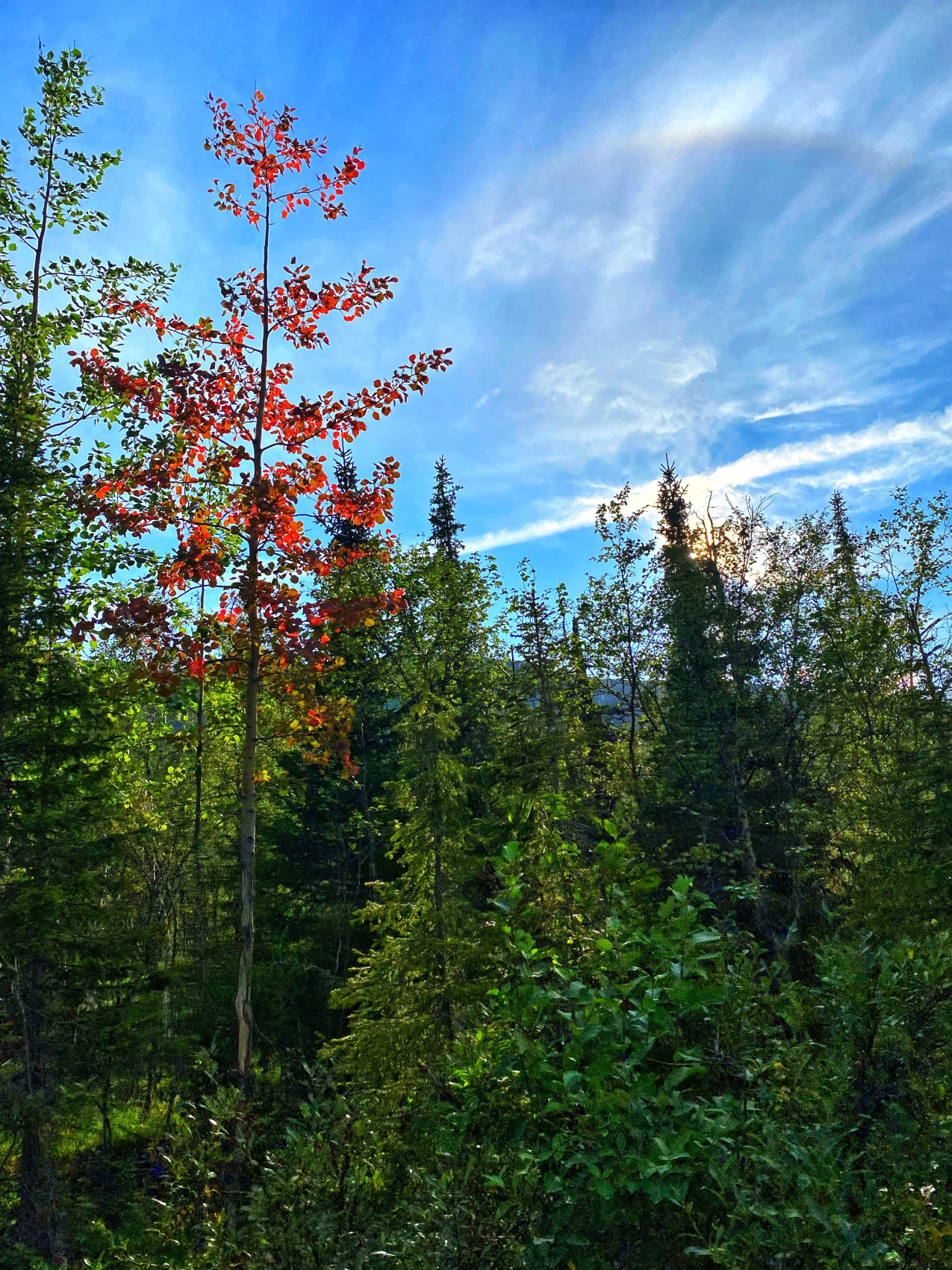 В самое сердце Хибин (4/32)