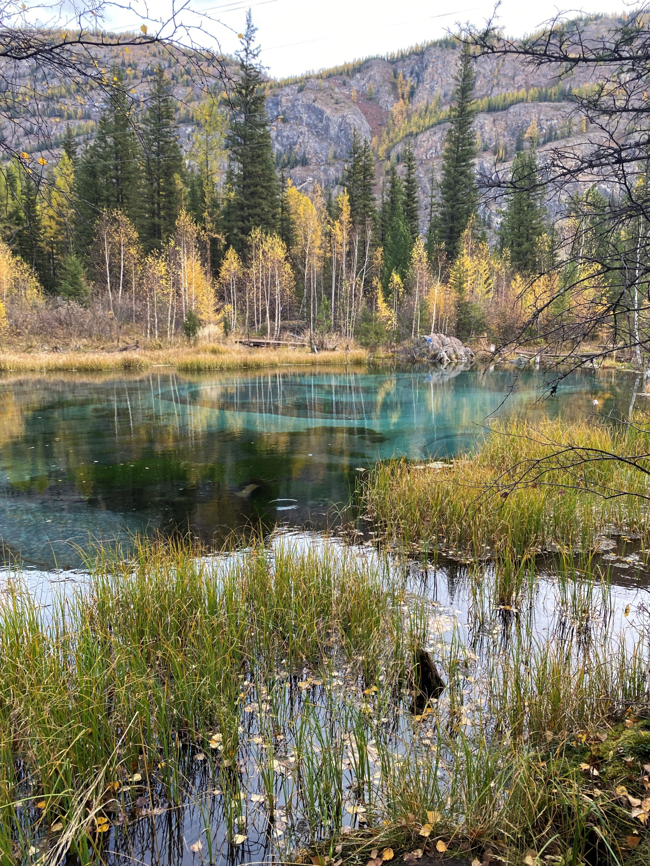 Золотой октябрь 2026 на Алтае (10/29)