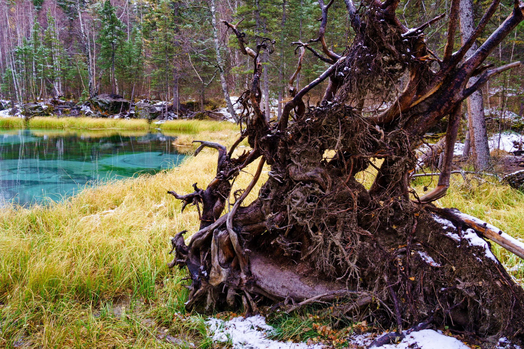 Золотой октябрь 2026 на Алтае (8/29)