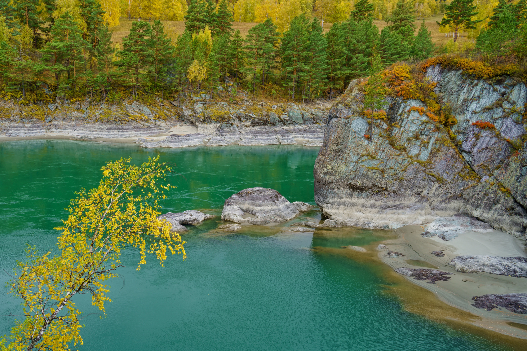 Золотой октябрь 2026 на Алтае (12/29)