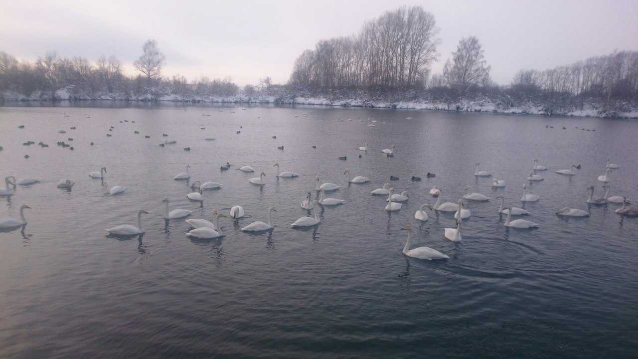 Зимняя сказка Алтая. (15/36)