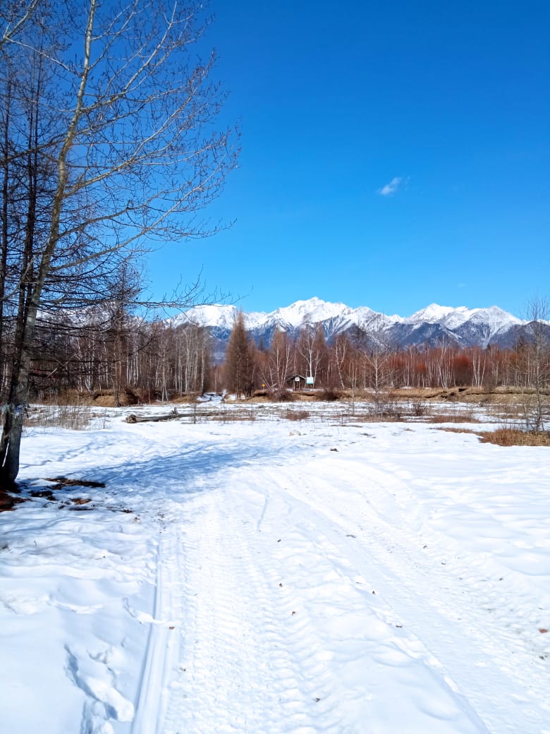 Зимняя сказка Алтая. (11/36)