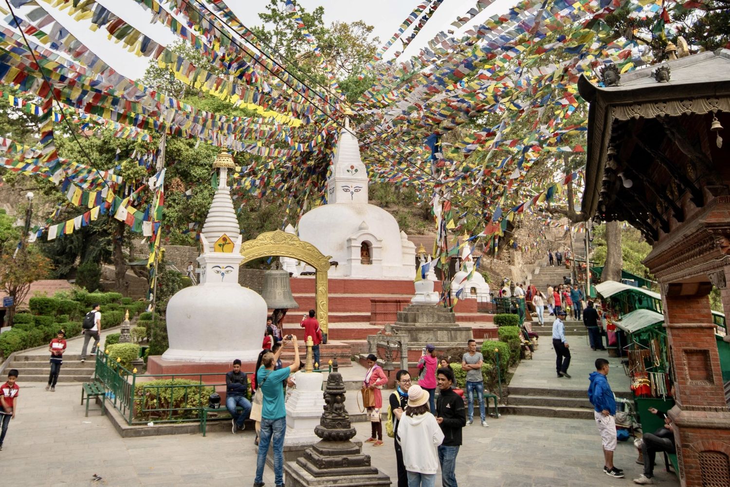 Индия + Непал. По следам Будды (17/67)