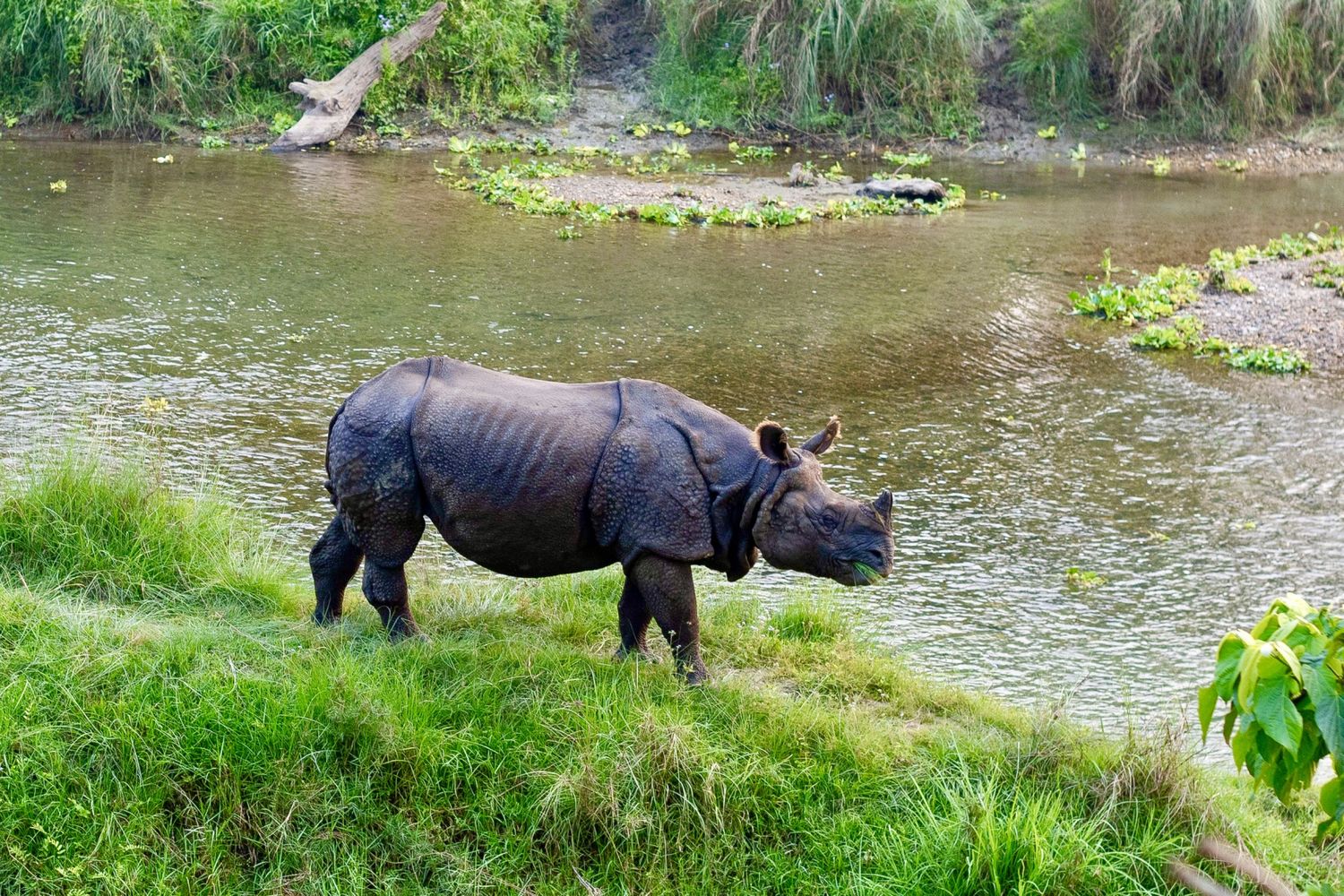 Индия + Непал. По следам Будды (14/67)