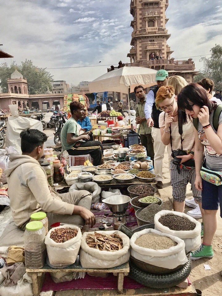 Вся Индия до Гоа (25/80)