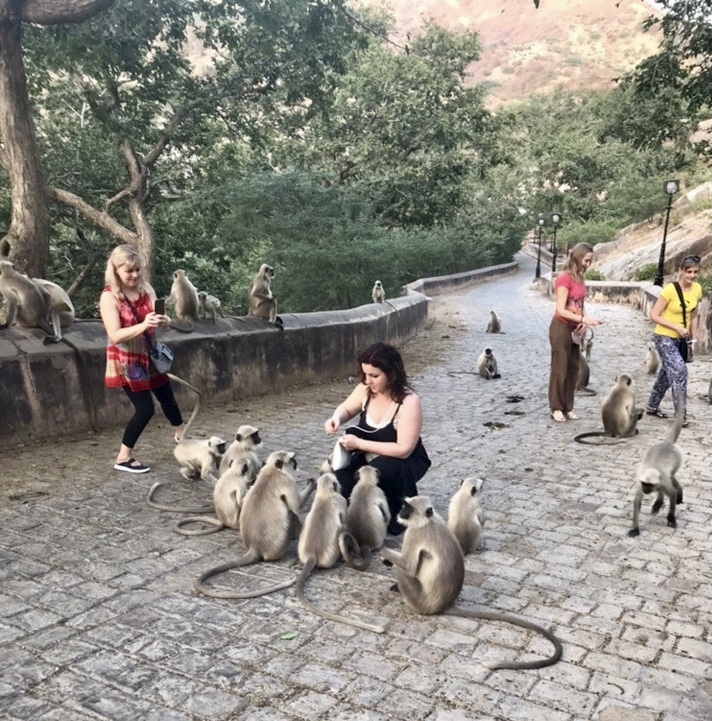 Вся Индия до Гоа (12/80)