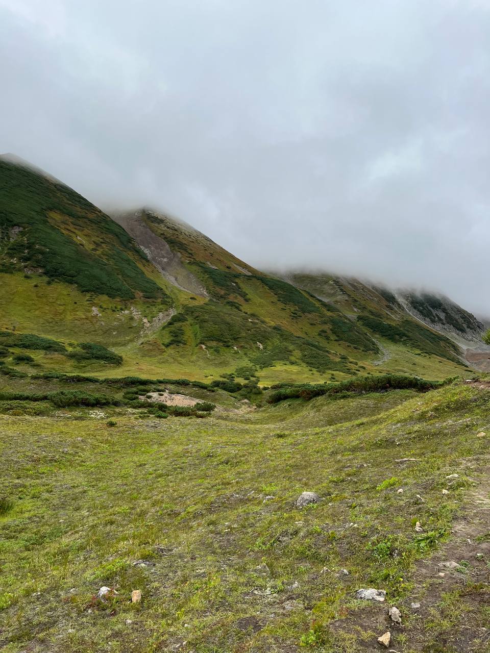 Камчатка: дикая красота, вулканы и гейзеры (15/54)