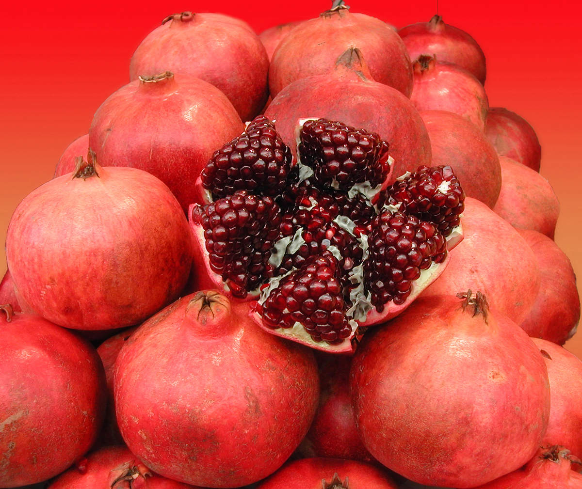 Две легенды — Самарканд и Бухара (9/24)