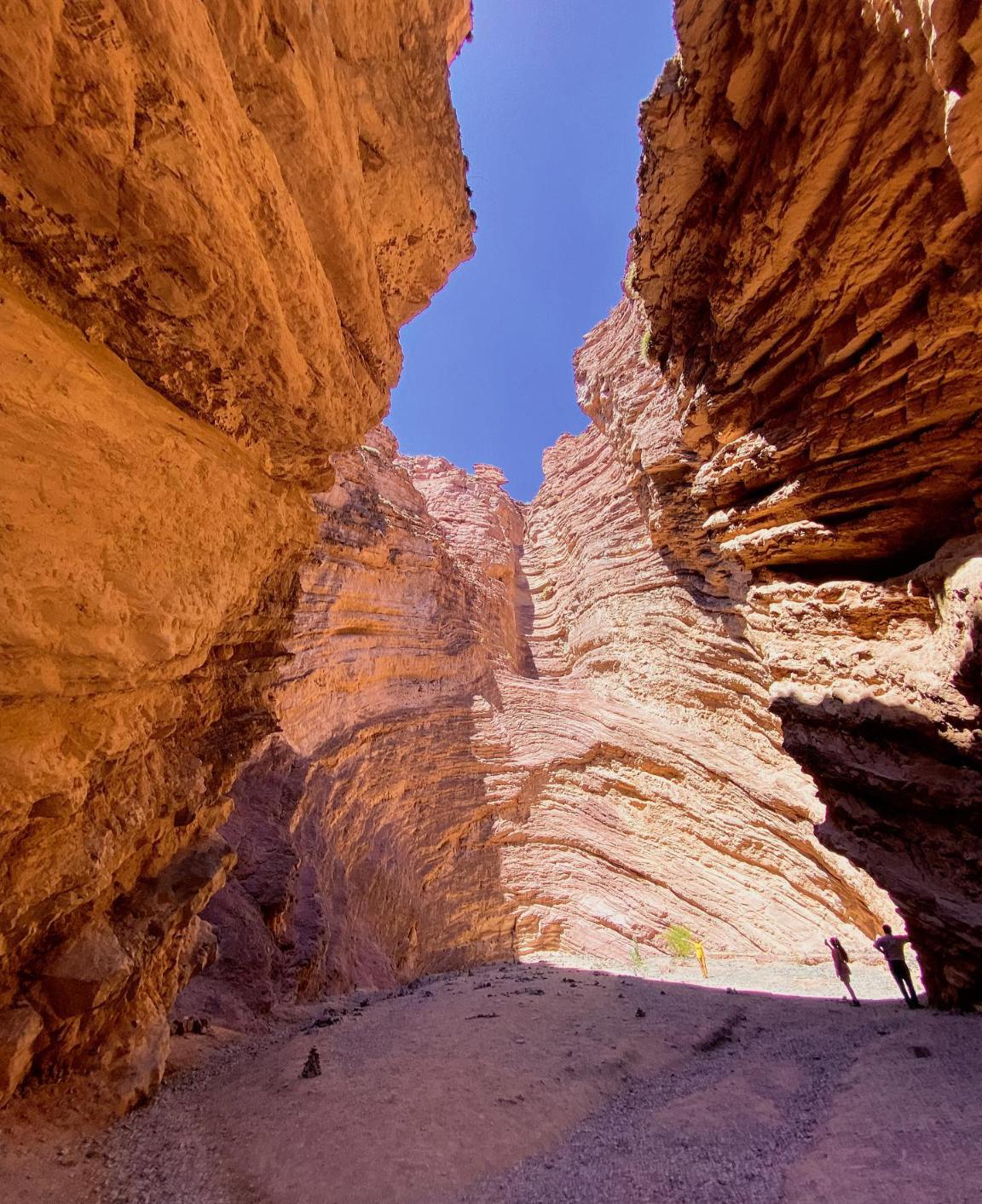 Аргентина: больше, чем Патагония (16/54)