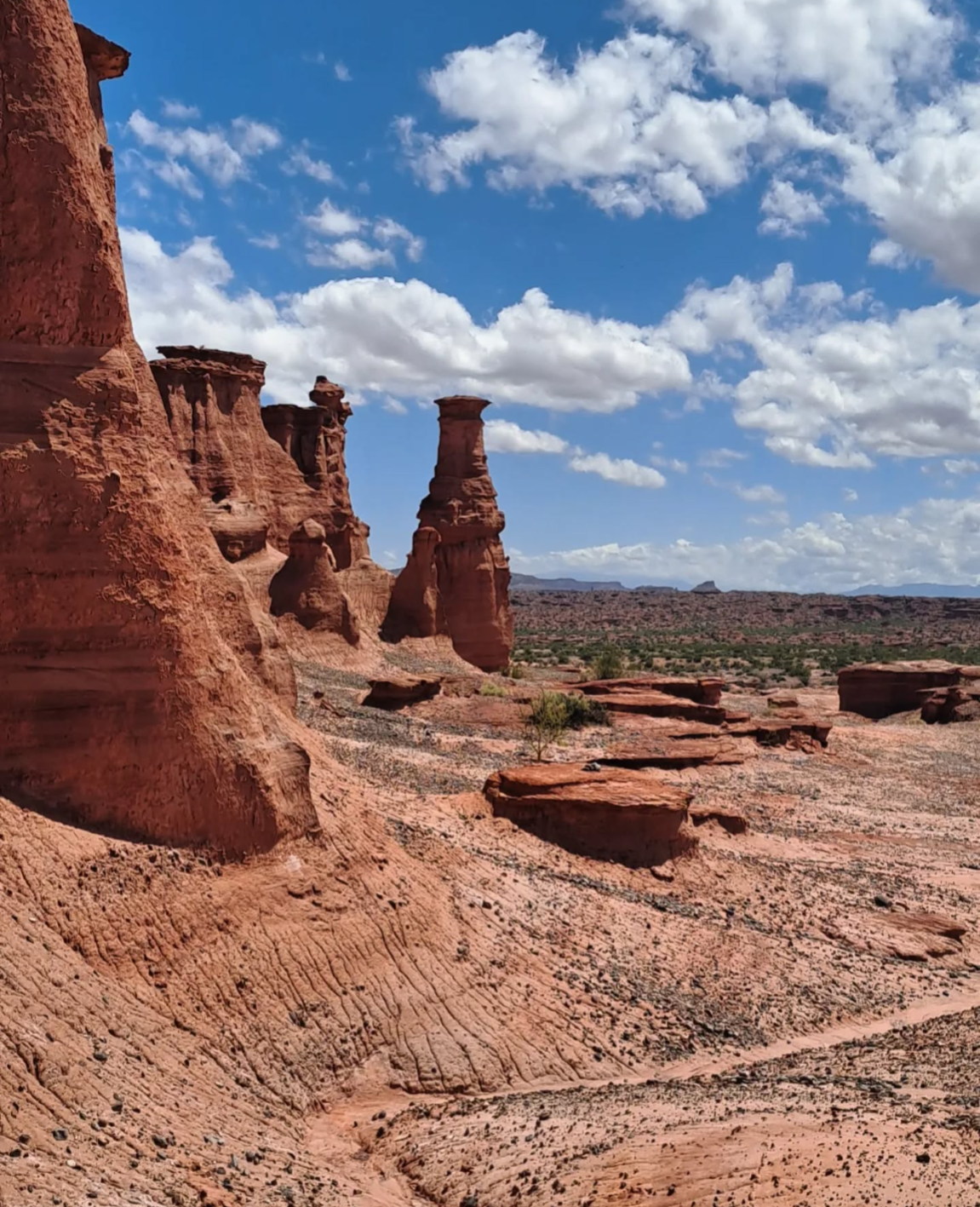 Аргентина: больше, чем Патагония (19/54)