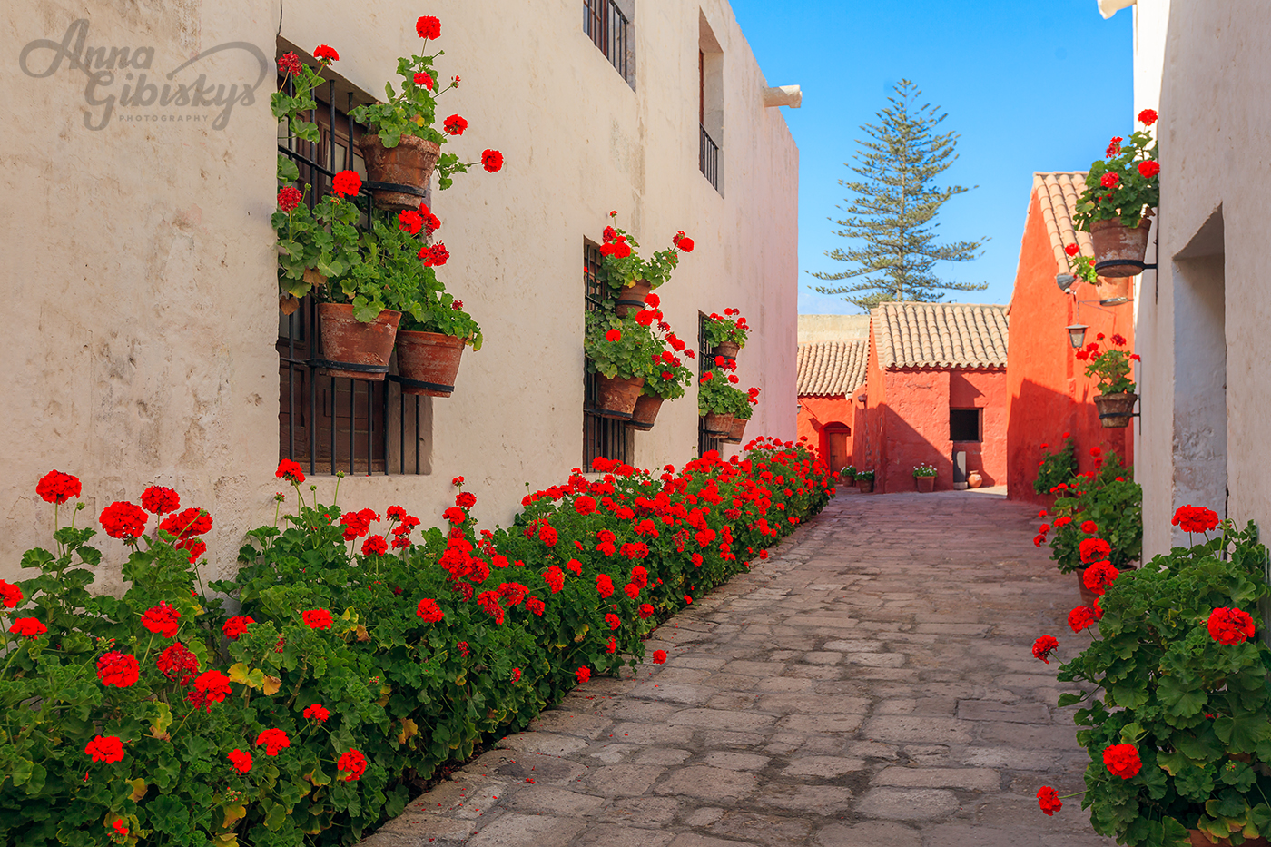 Топовый маршрут в Перу! (18/65)