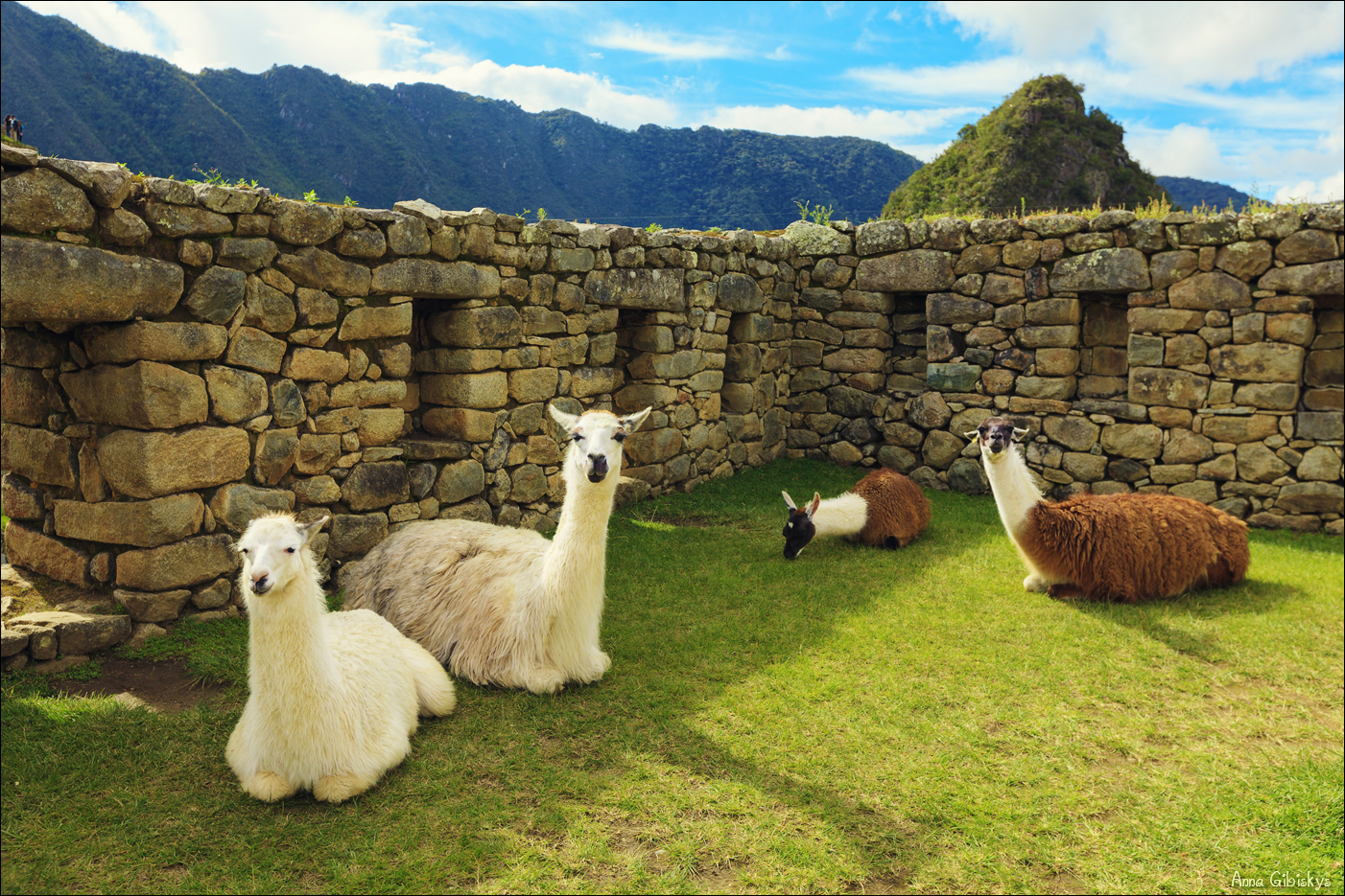 Топовый маршрут в Перу! (11/65)