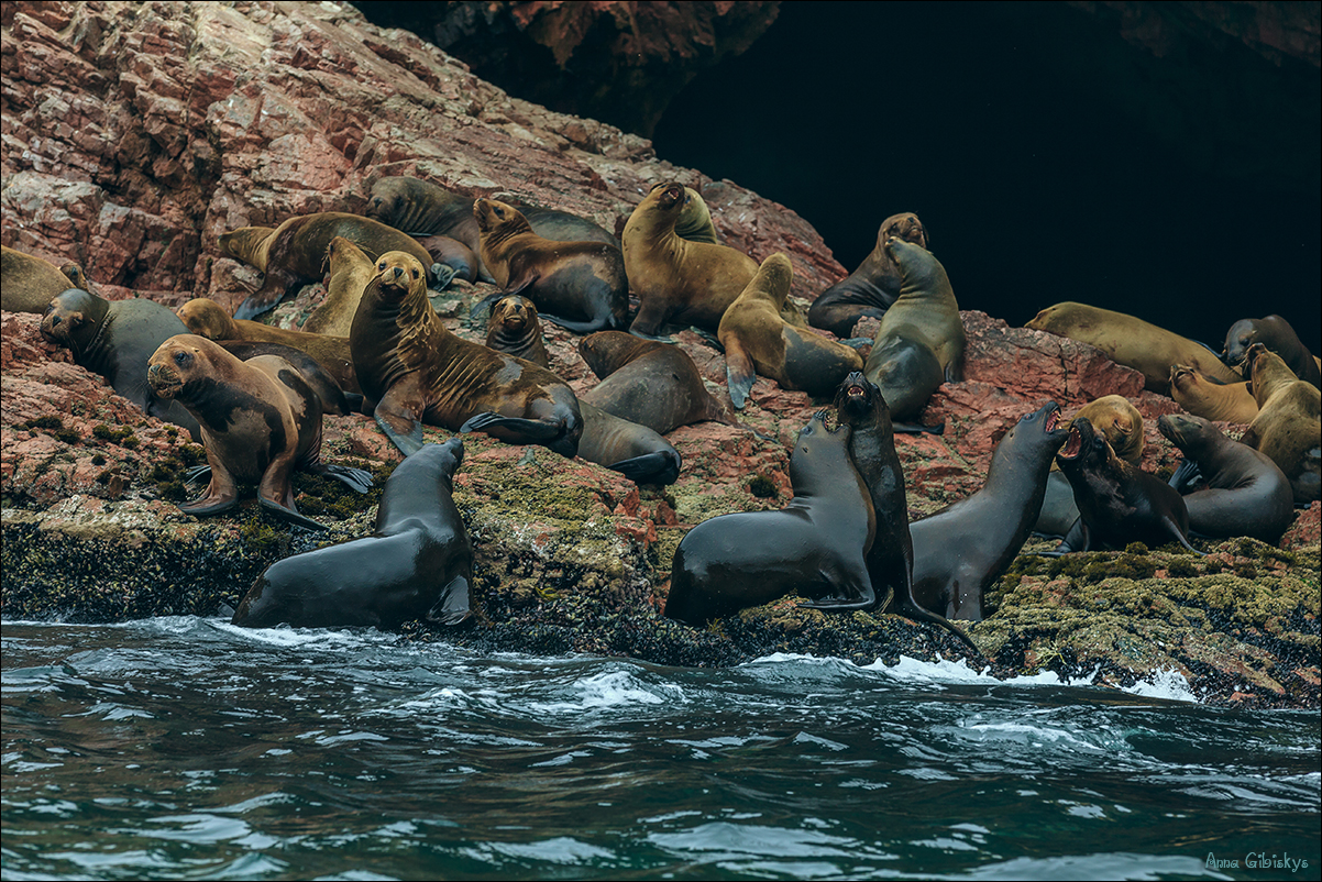 Топовый маршрут в Перу! (23/65)