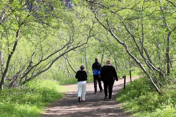 Экскурсионный тур в Исландию. Большой круг за 10 дней (индивидуально). (20/60)