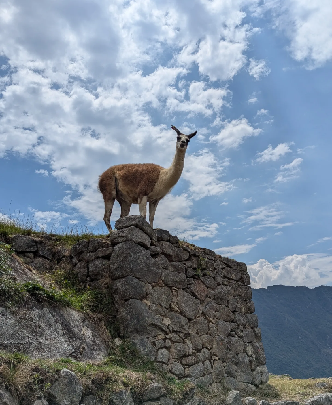 Перу, Боливия, Чили: вселенная Анд (16/57)
