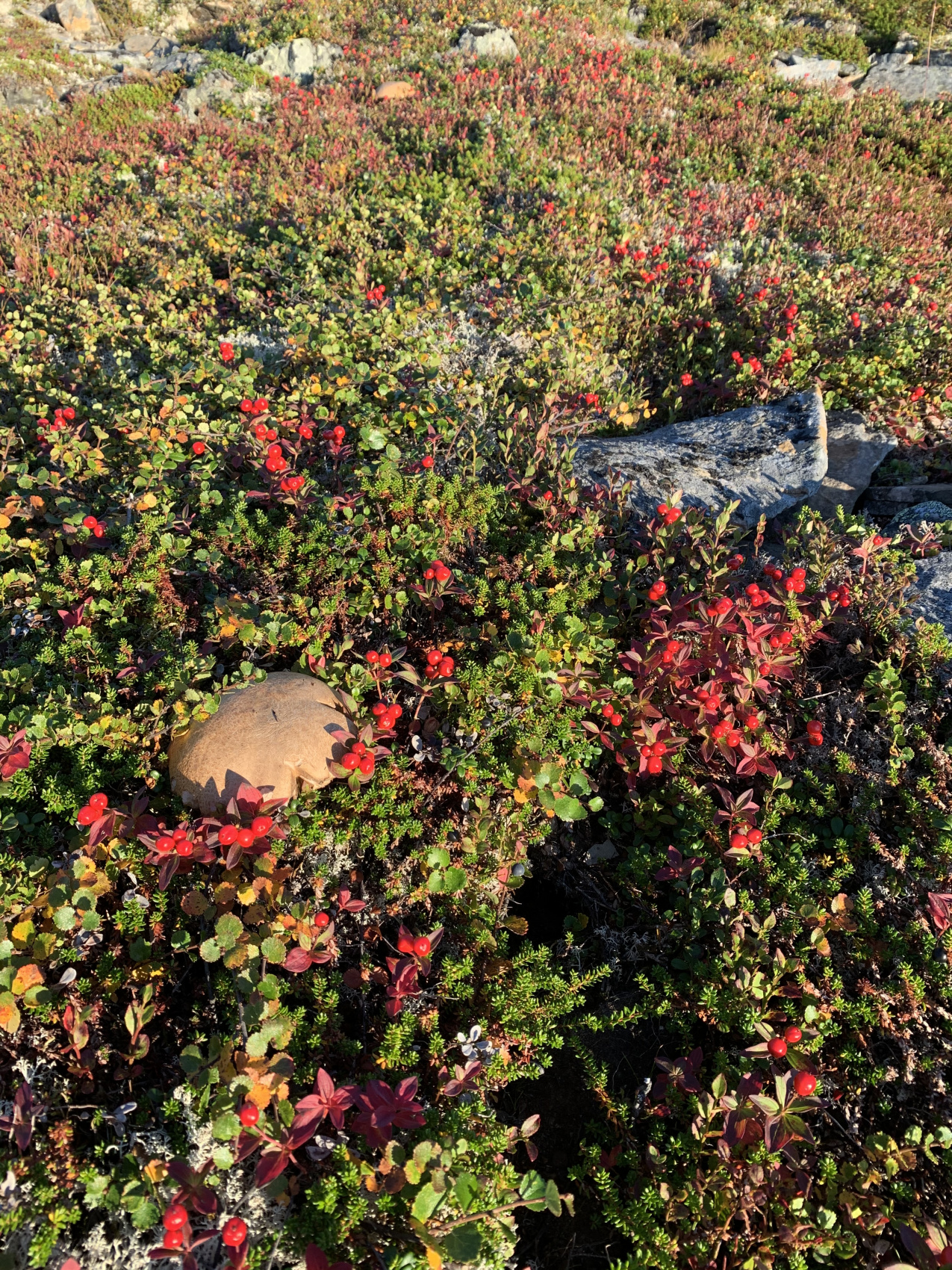 П-Ов Средний И Рыбачий - Мы Не Спим На Земле! Нам Тепло! (24/36)