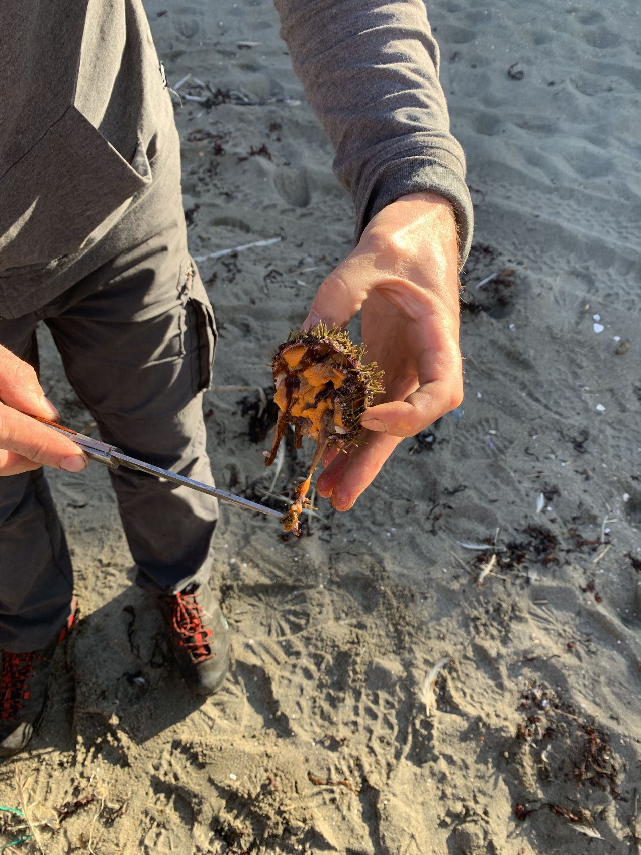 П-Ов Средний И Рыбачий - Мы Не Спим На Земле! Нам Тепло! (20/36)