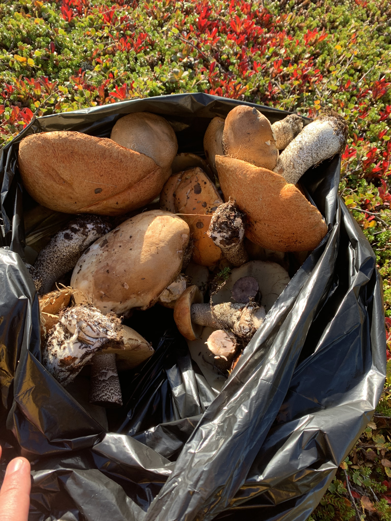 П-Ов Средний И Рыбачий - Мы Не Спим На Земле! Нам Тепло! (19/36)