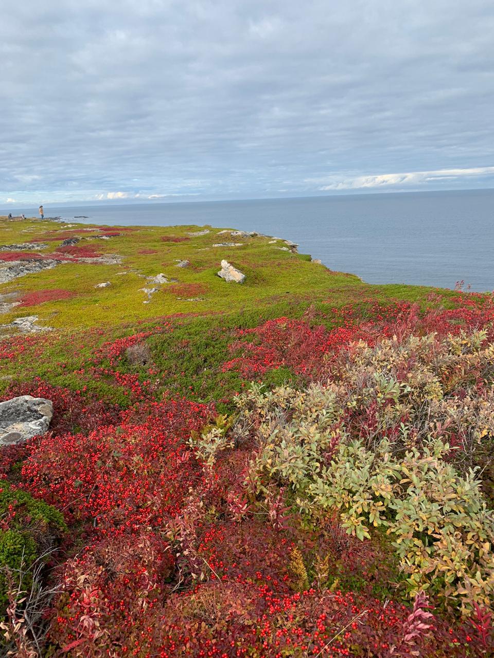 П-Ов Средний И Рыбачий - Мы Не Спим На Земле! Нам Тепло! (7/36)