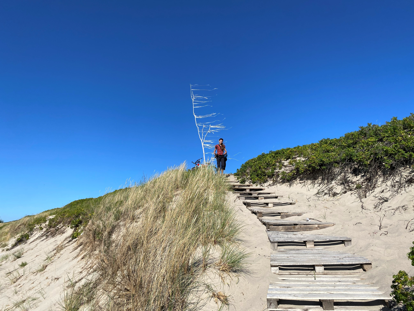 Другой Калининград (15/46)