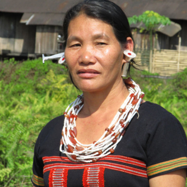 Племенная тропа Аруначал-Прадеша (11/16)