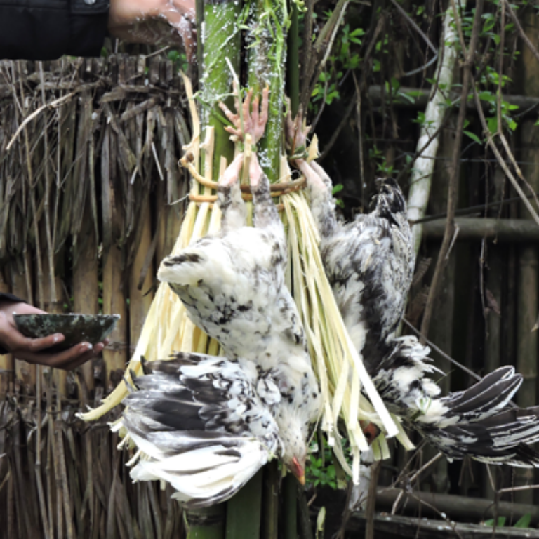 Племенная тропа Аруначал-Прадеша (4/16)