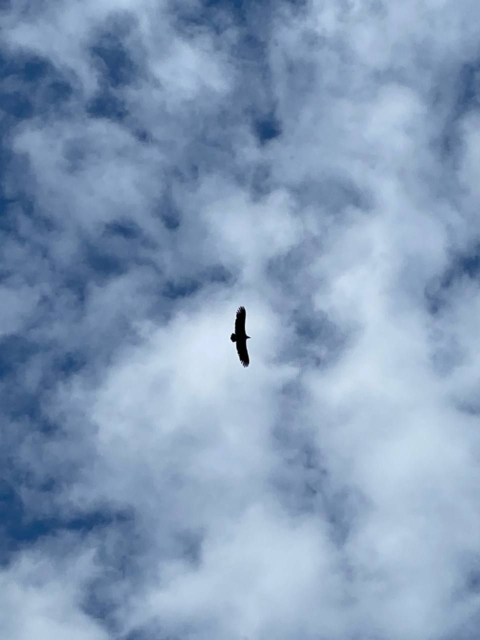 Влюбляющий Дагестан: 4 дня Реально Всё включено! (46/258)