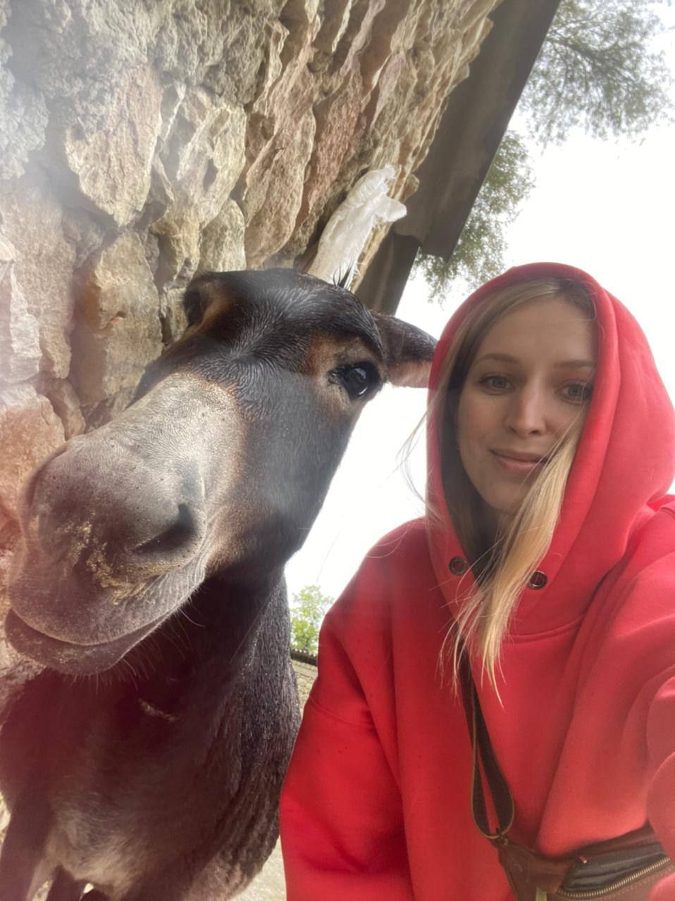 Влюбляющий Дагестан: 4 дня Реально Всё включено! (108/258)