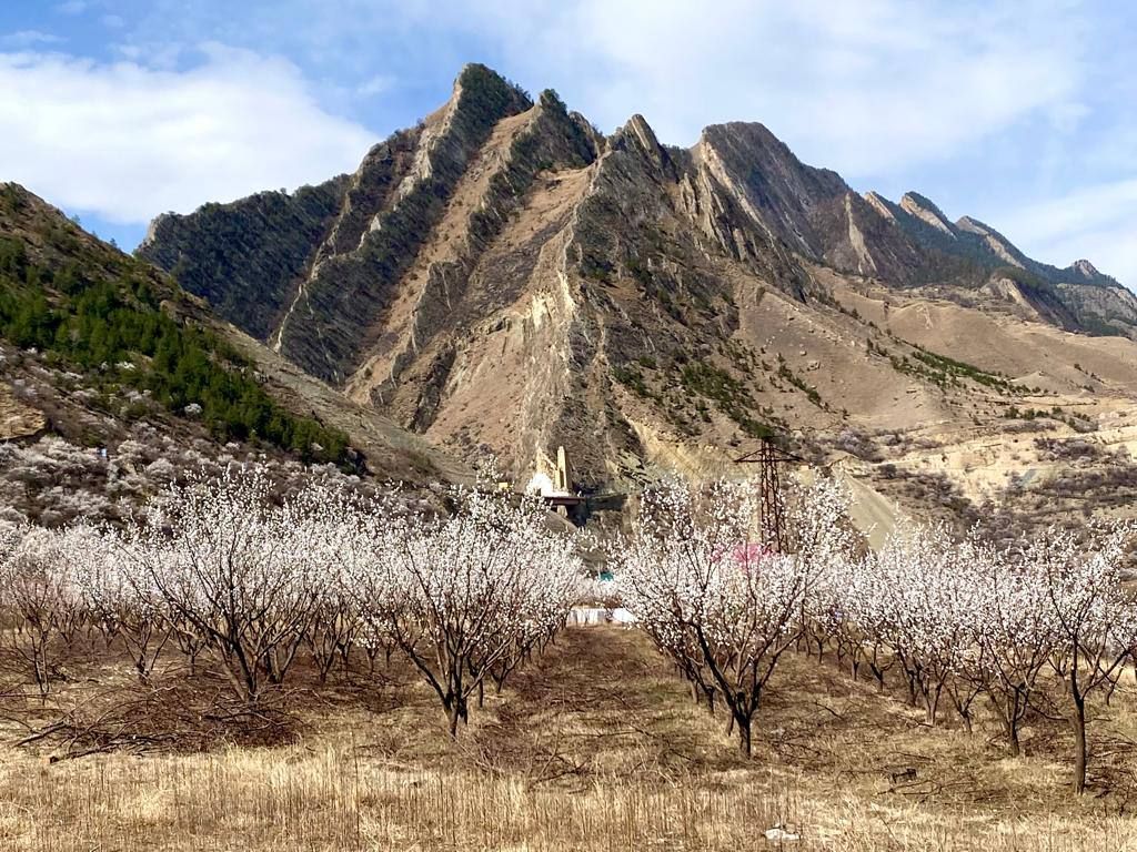 Влюбляющий Дагестан: 4 дня Реально Всё включено! (192/258)