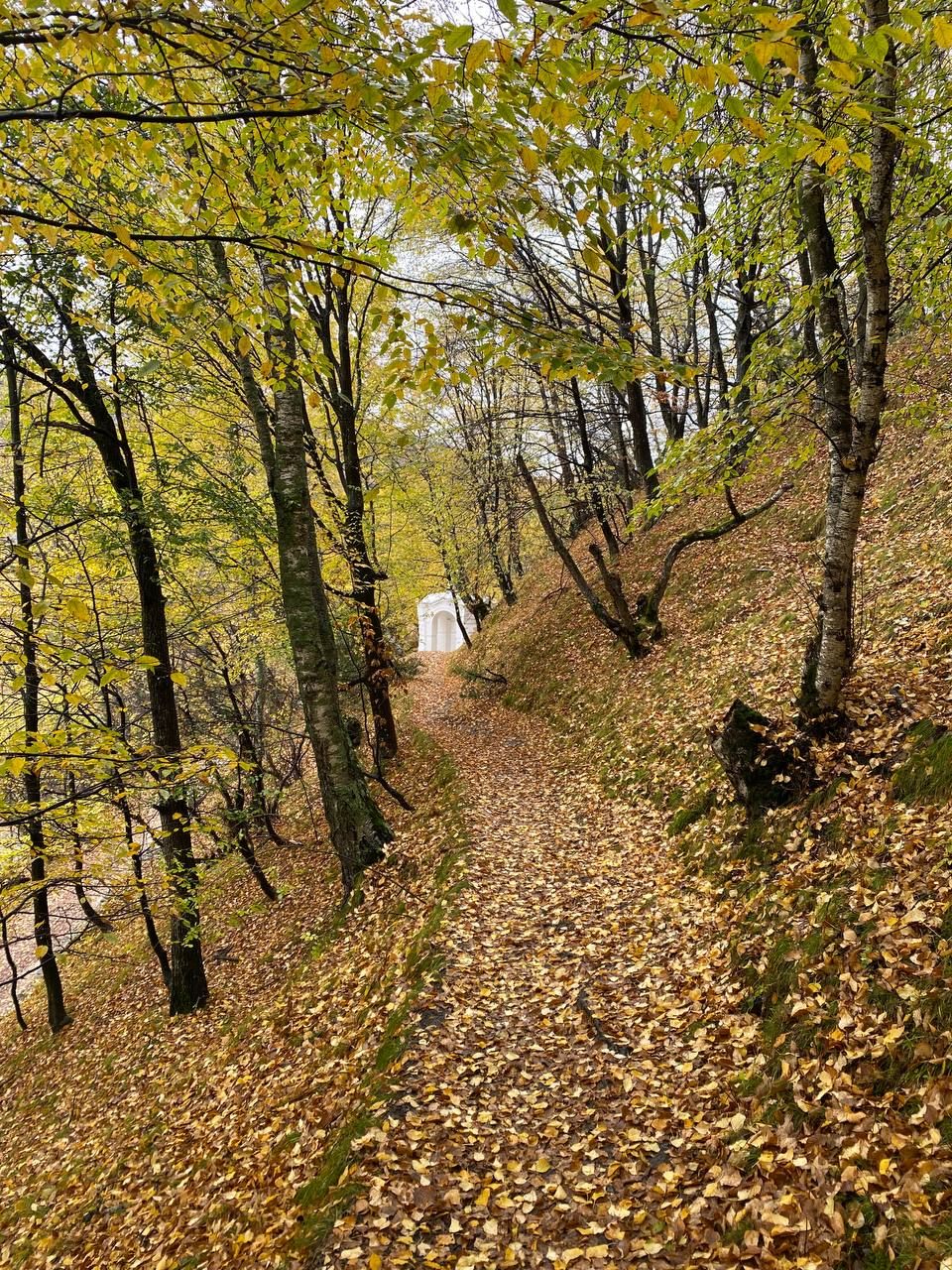 Влюбляющий Дагестан: 4 дня Реально Всё включено! (116/258)