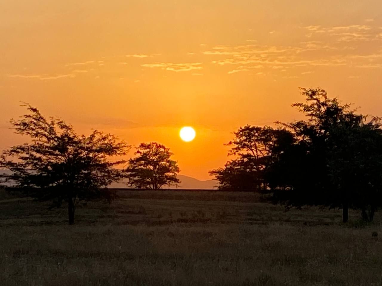 Влюбляющий Дагестан: 4 дня Реально Всё включено! (23/258)