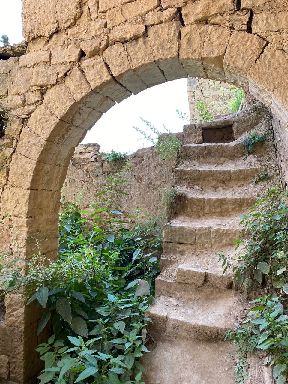 Влюбляющий Дагестан: 4 дня Реально Всё включено! (45/258)