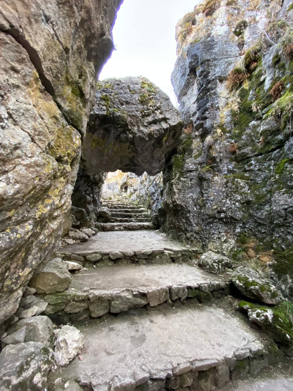 Влюбляющий Дагестан: 4 дня Реально Всё включено! (89/258)