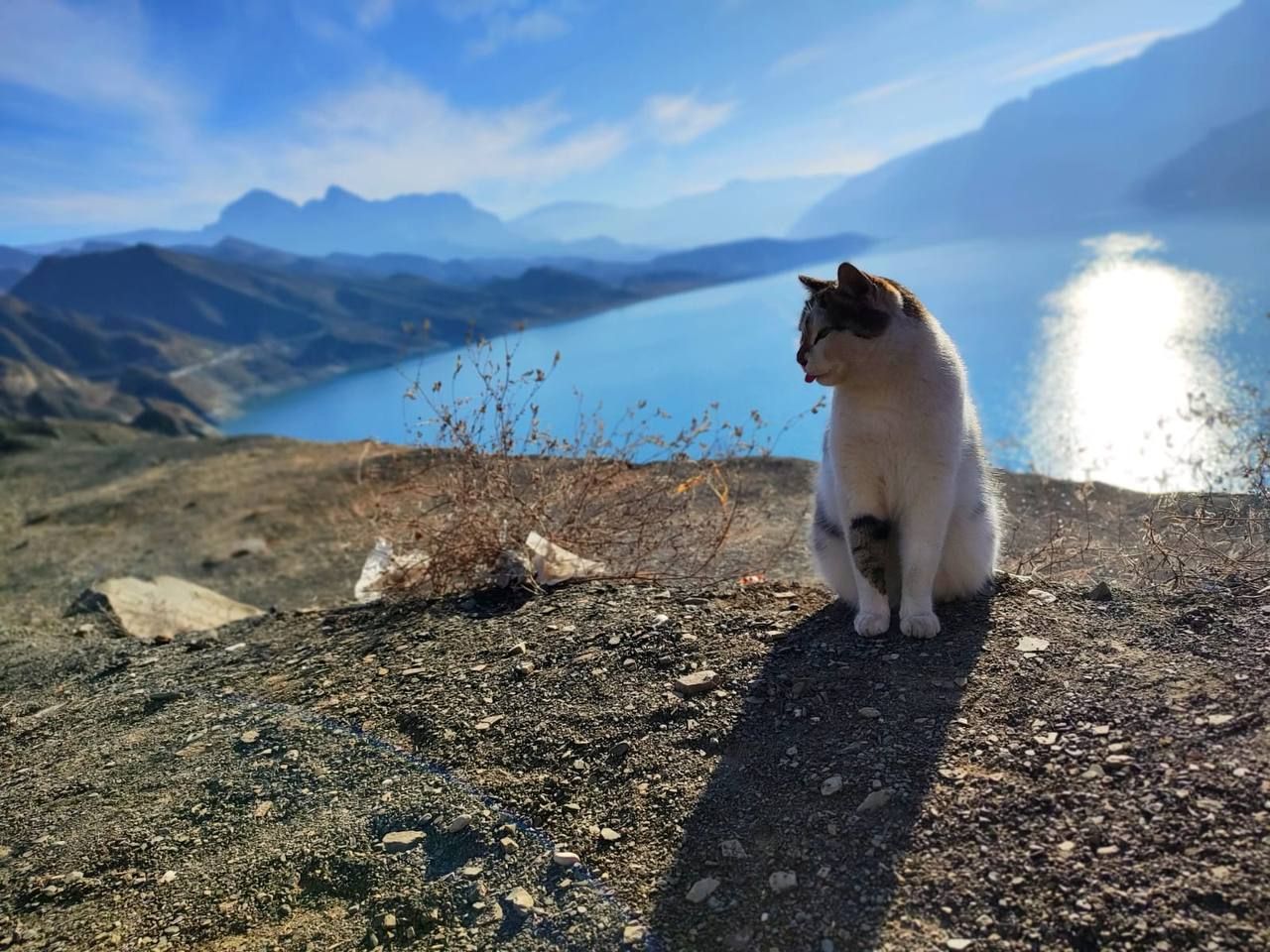 Влюбляющий Дагестан: 4 дня Реально Всё включено! (100/258)