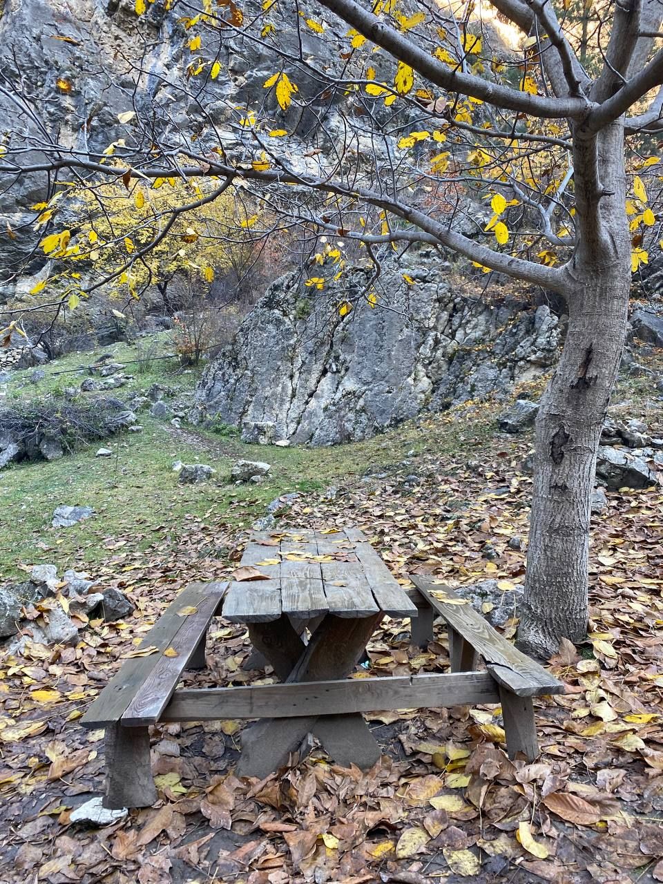 Влюбляющий Дагестан: 4 дня Реально Всё включено! (55/258)