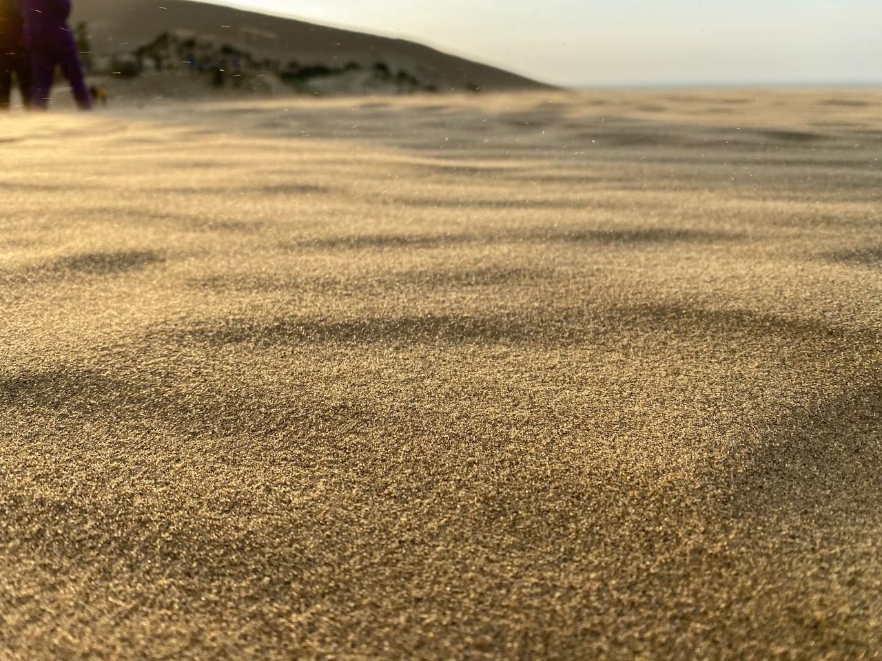 Влюбляющий Дагестан: 4 дня Реально Всё включено! (40/258)