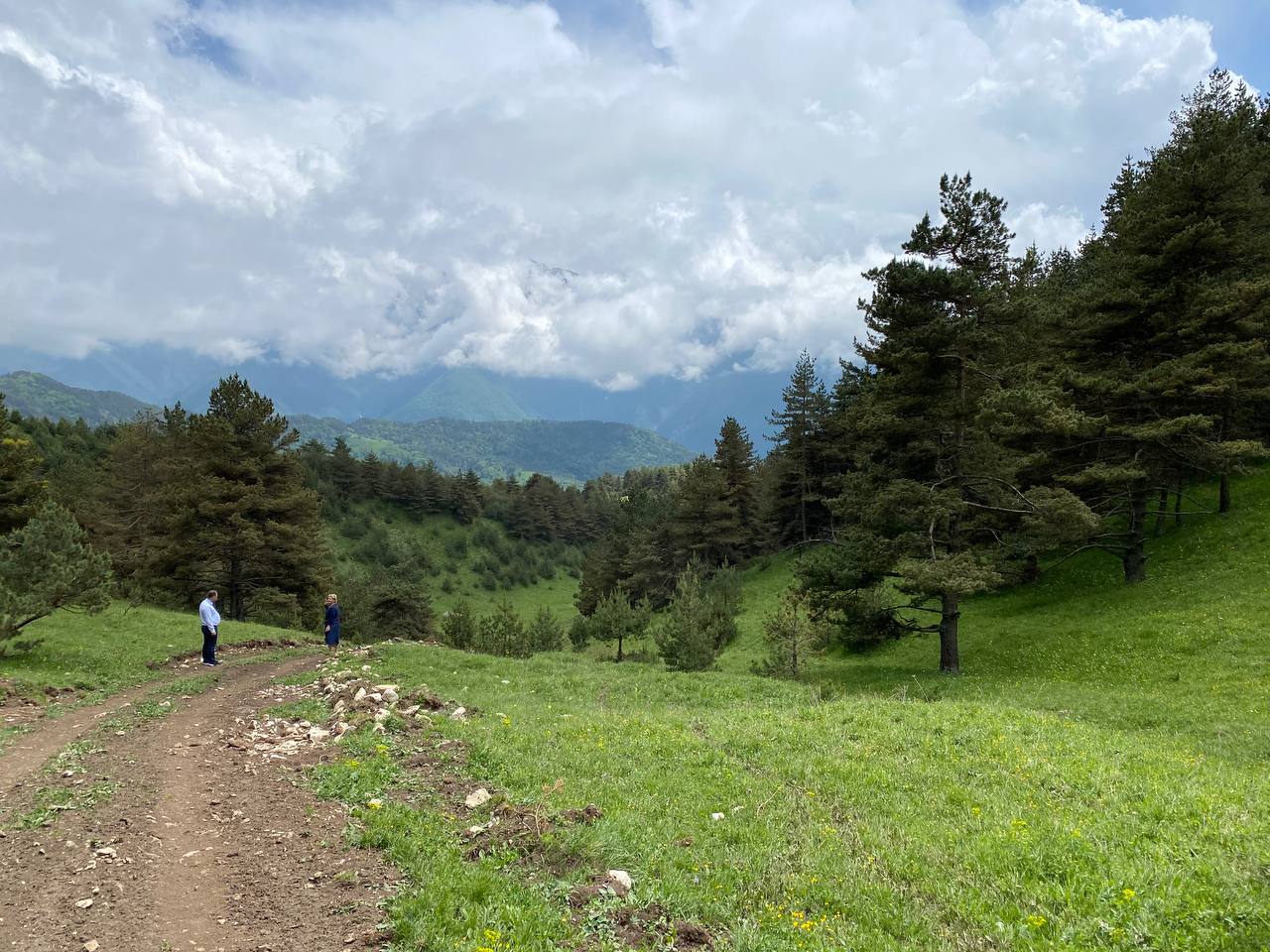 Лайт. Кавказская мозаика! (52/229)