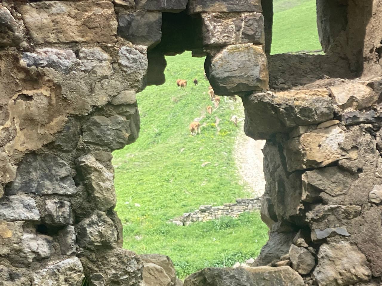 Лайт. Кавказская мозаика! (69/229)