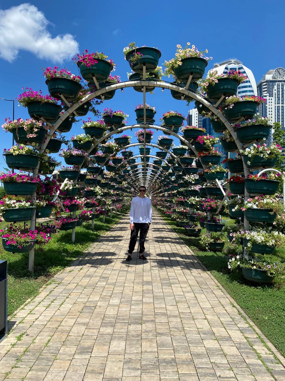 Лайт. Кавказская мозаика! (182/229)