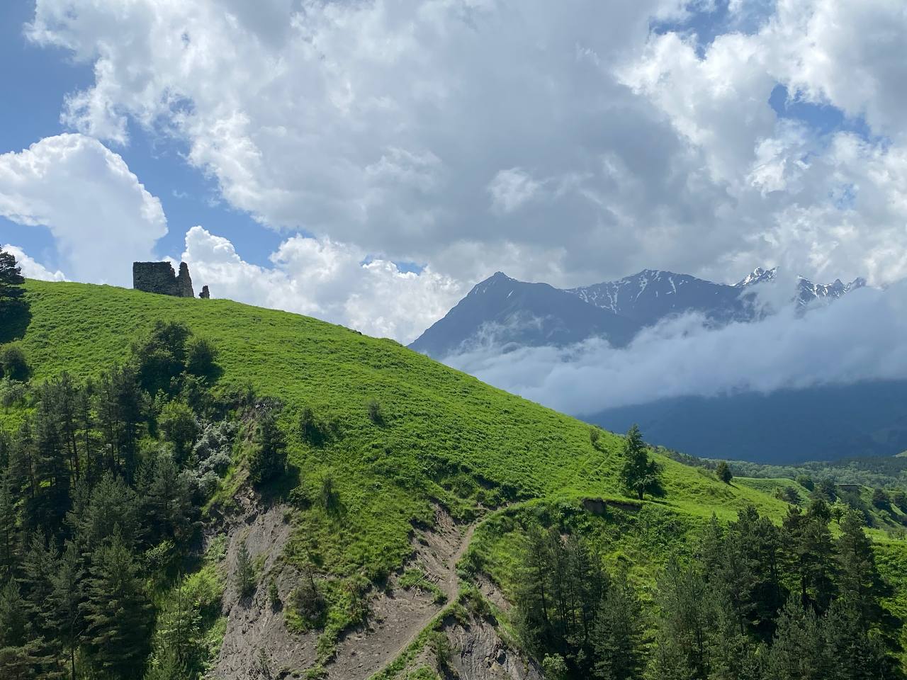 Лайт. Кавказская мозаика! (77/229)