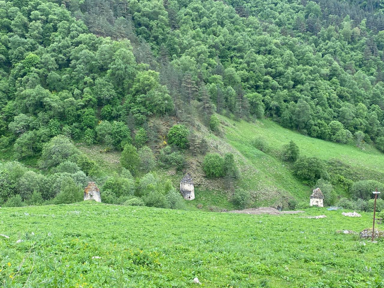 Лайт. Кавказская мозаика! (58/229)