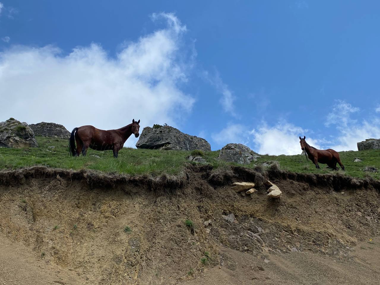 Лайт. Кавказская мозаика! (66/229)