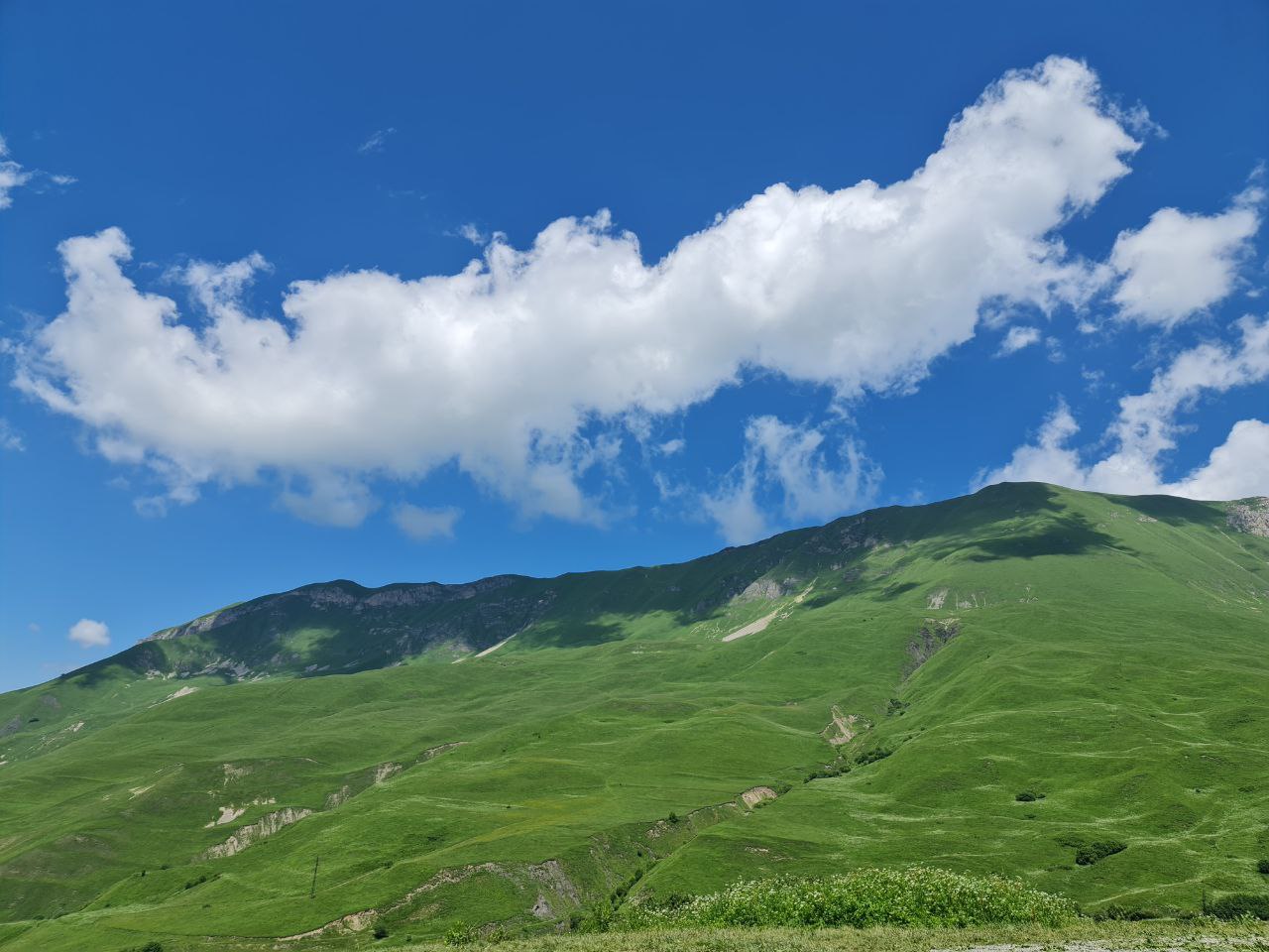 Лайт. Кавказская мозаика! (32/229)