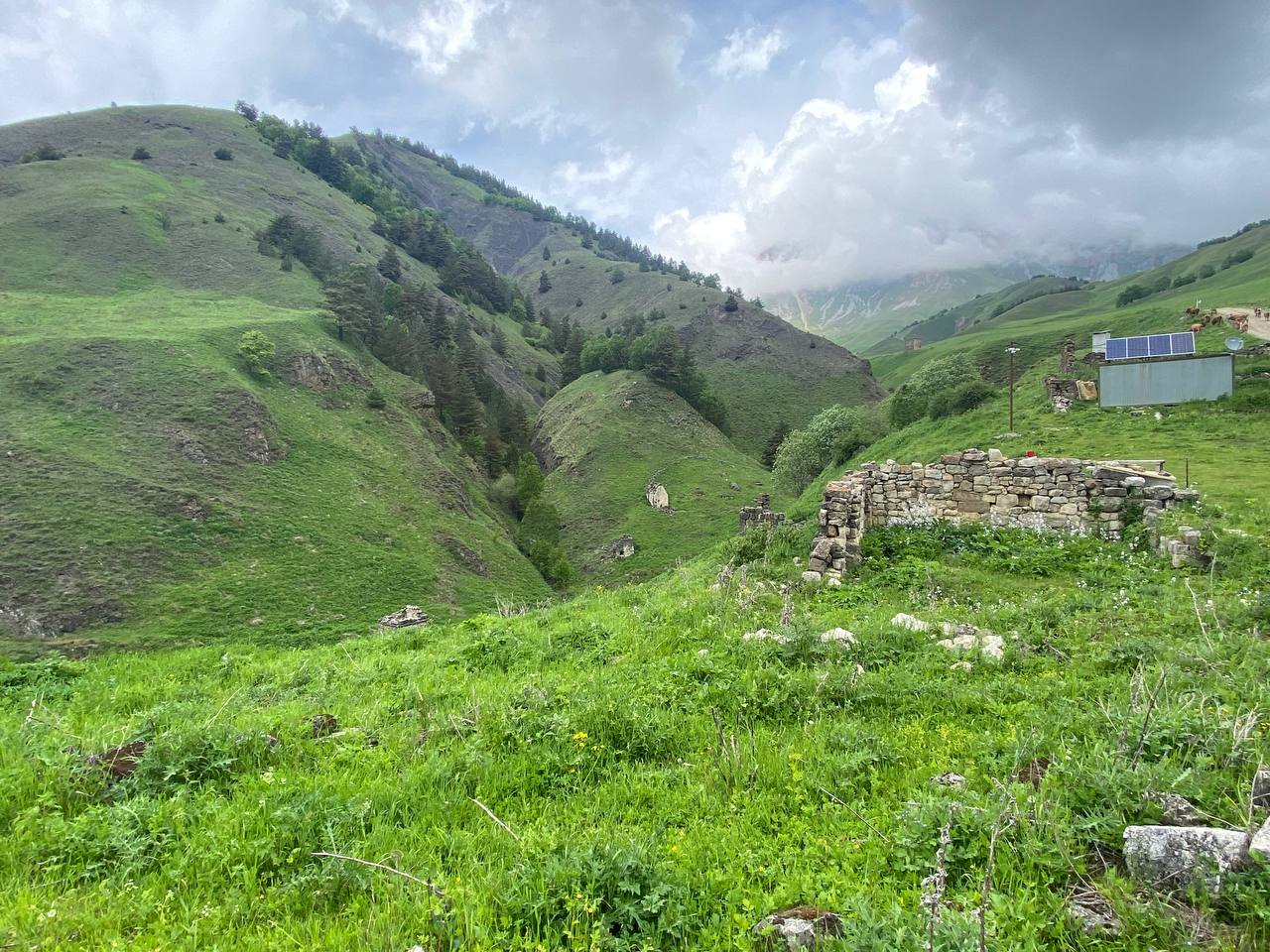 Лайт. Кавказская мозаика! (50/229)