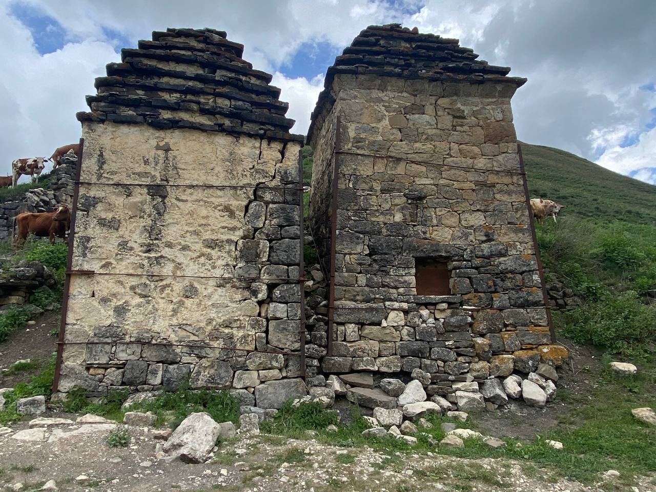 Лайт. Кавказская мозаика! (60/229)