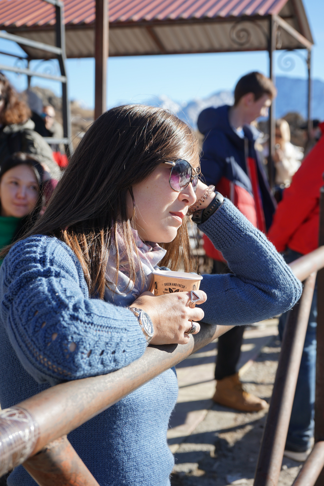 Лайт. Кавказская мозаика! (126/229)